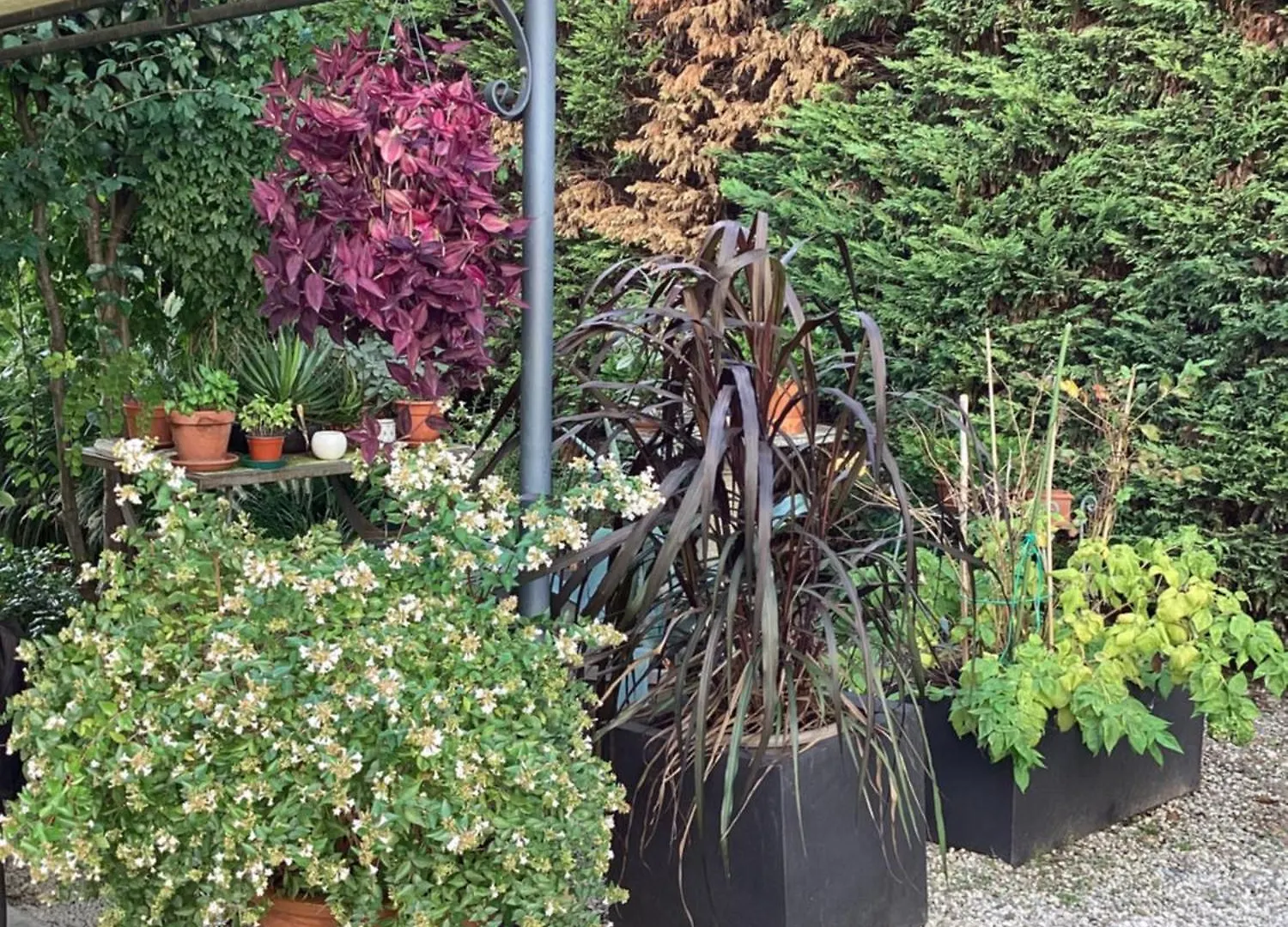 Il Villino Della Duchessa Bed & Breakfast Parma Italy