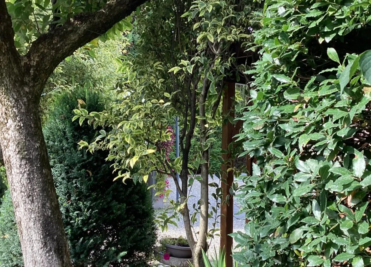 Il Villino Della Duchessa Bed & Breakfast Parma 0*,  Italy